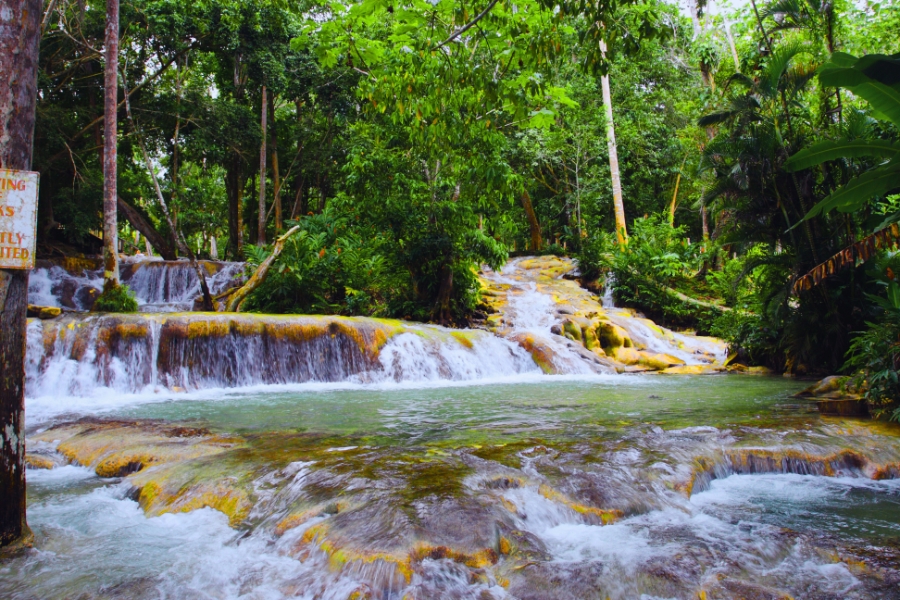 A Complete Travel Guide to Mystic Mountain in Ocho Rios