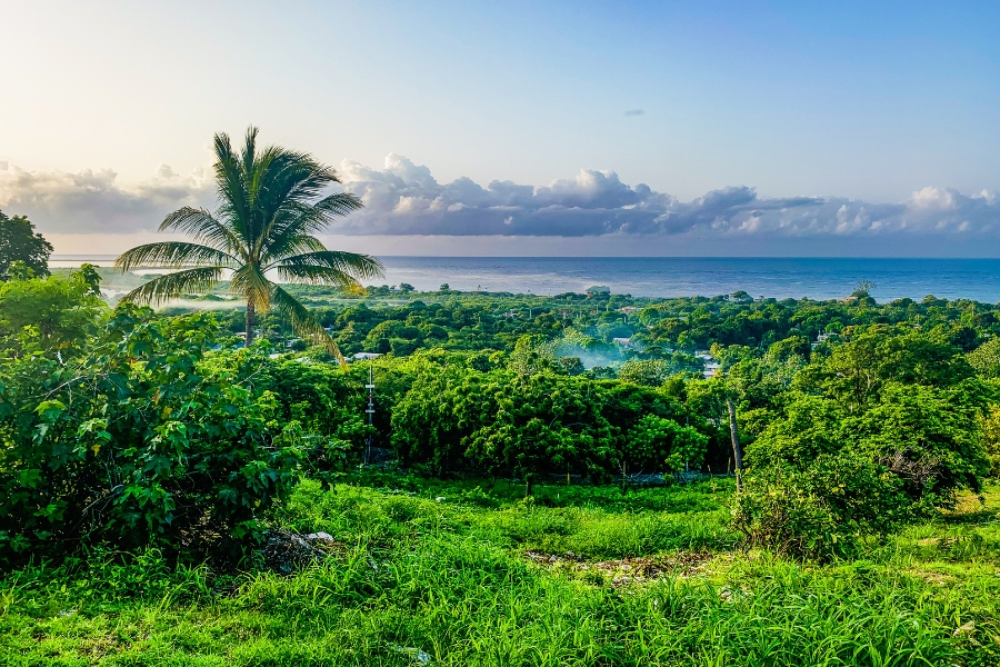 Best Places to Visit by Car in Jamaica During the Low Season