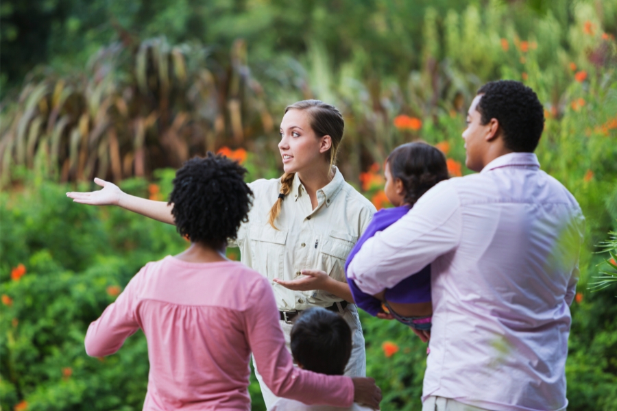 Exploring Jamaica by Car Rental Compared to Guided Tours