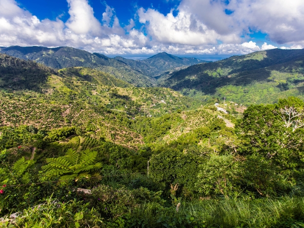 A Scenic Road Trip Across Valleys in Jamaica