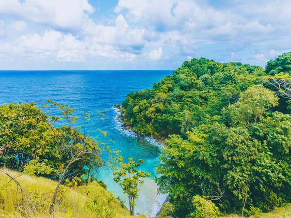 Road Trip Guide for Exploring North Coast Attractions in Jamaica