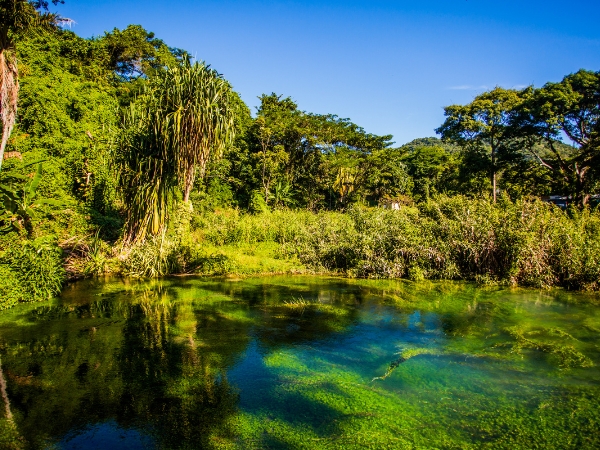 Ultimate Guide to Exploring Jamaica’s World Heritage Sites by Car