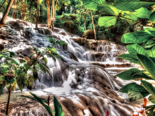 Ultimate Guide to Visiting Dunn’s River Falls by Car